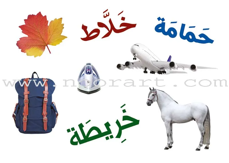 Badiha بديهة