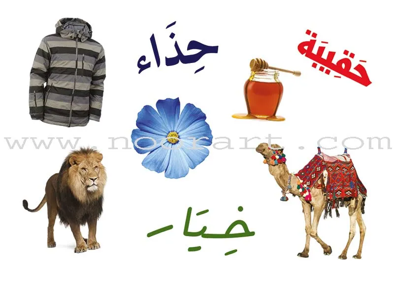 Badiha بديهة