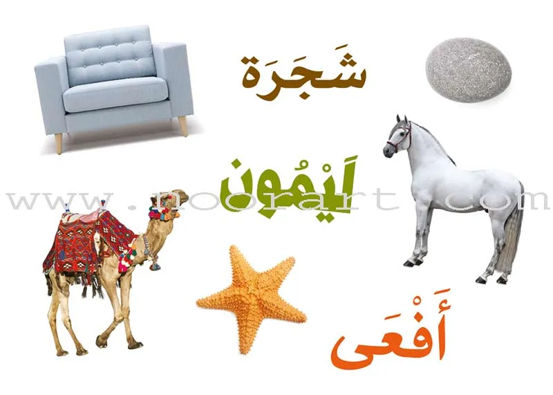 Badiha بديهة