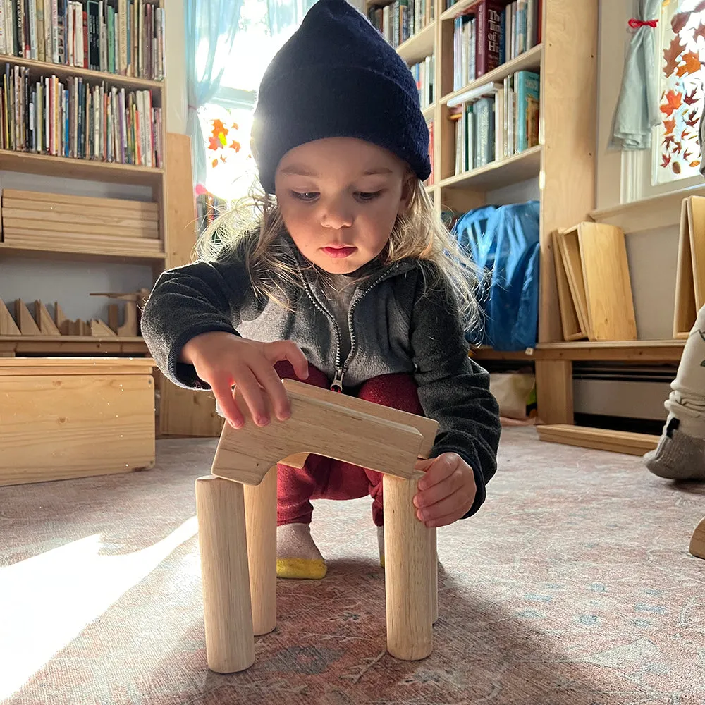Beginner Unit Block Set | 32 Durable Hardwood Blocks