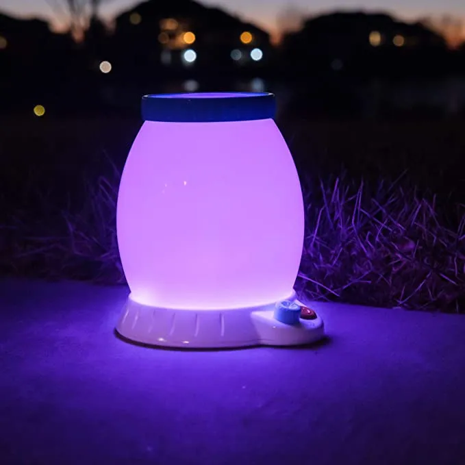 Fat Brain Buggy Light