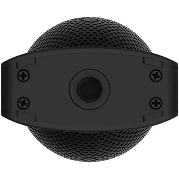 Ricoh Theta TA-1 3D Microphone For Theta V