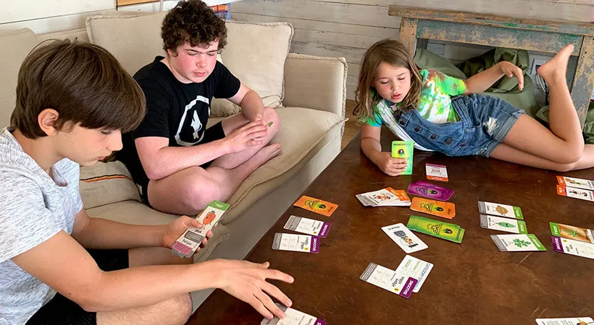 Smoothie Spree Card Game
