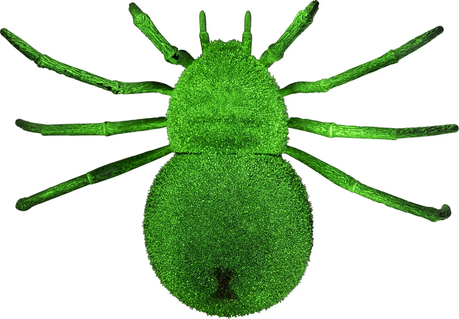Spooky Spider RC