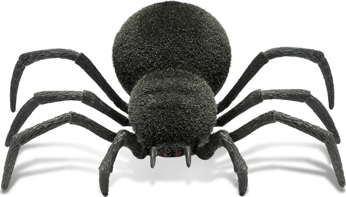Spooky Spider RC