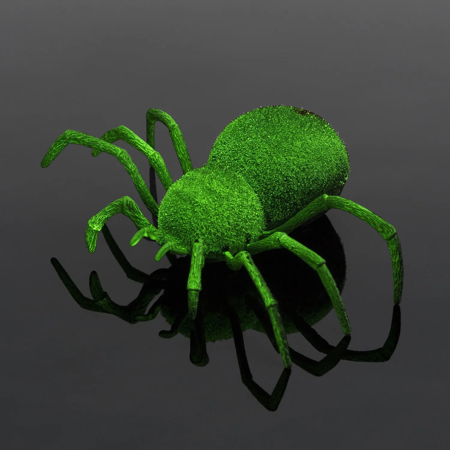 Spooky Spider RC