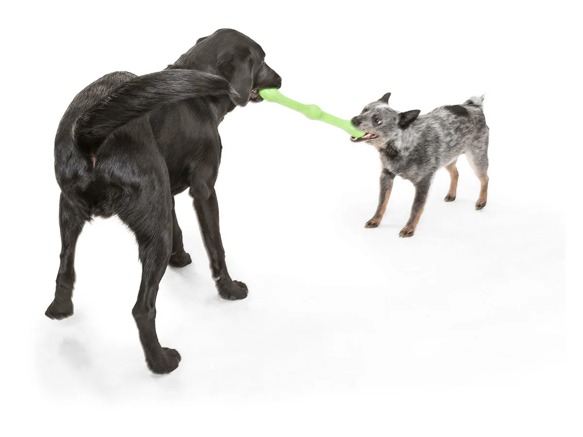 West Paw - Zwig Dog Toy